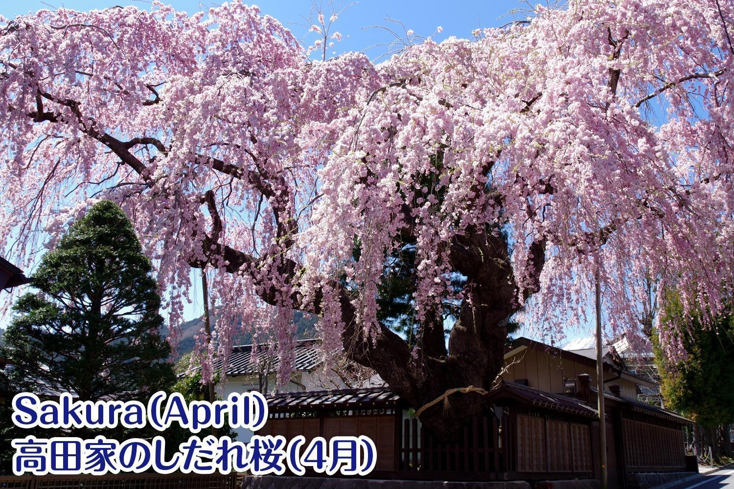 Nikko Stay House Arai - Vacation Stay 14988V Luaran gambar